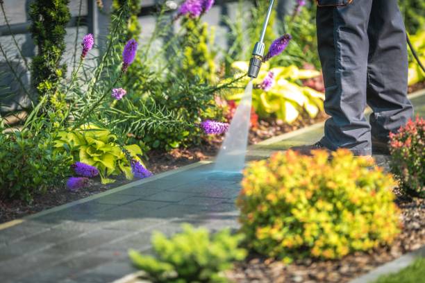 Best Pool Deck Cleaning  in Lus Valley Marinwood, CA