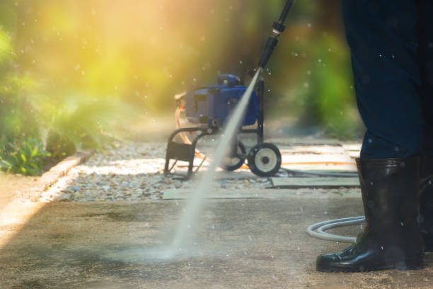 Best Solar Panel Cleaning  in Lus Valley Marinwood, CA